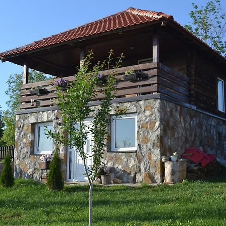 Zlatibor Cottages エクステリア 写真
