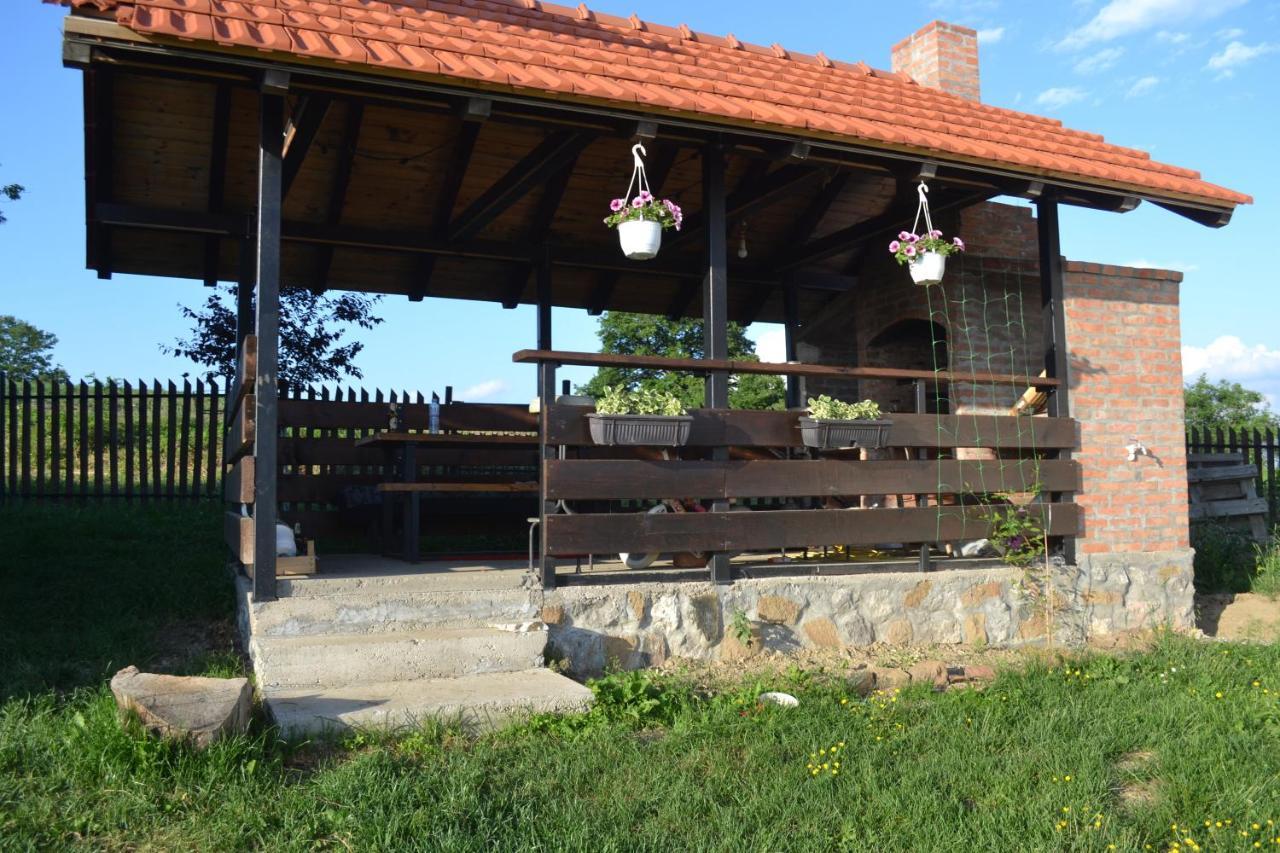Zlatibor Cottages エクステリア 写真