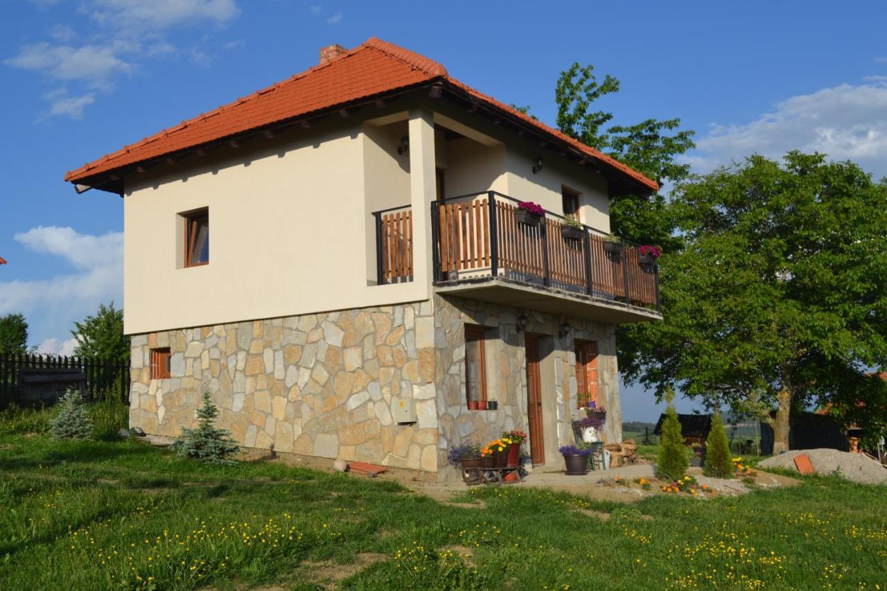 Zlatibor Cottages エクステリア 写真