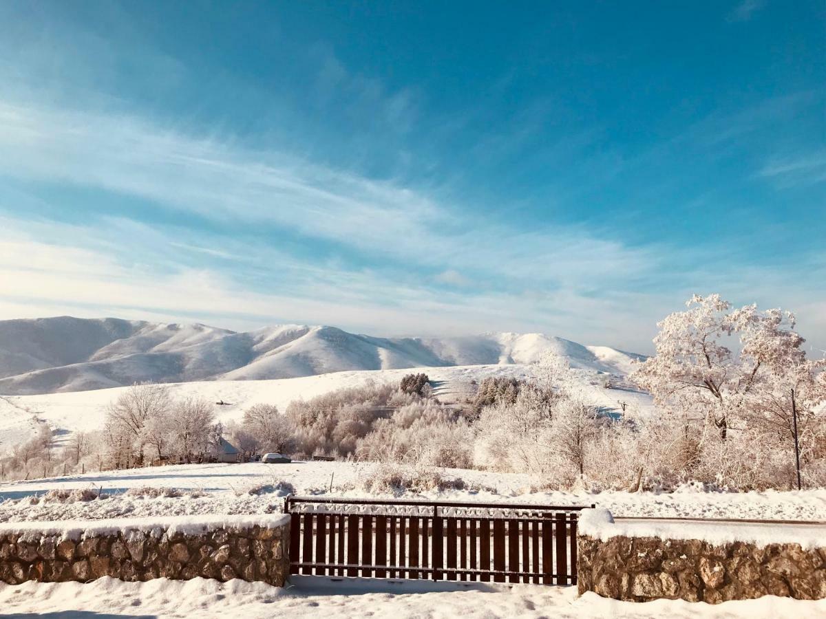 Zlatibor Cottages エクステリア 写真